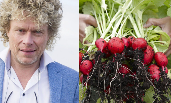 image: Ministeren begeistret for klimagrepet som kan redde Norge, men forsker rister på hodet
